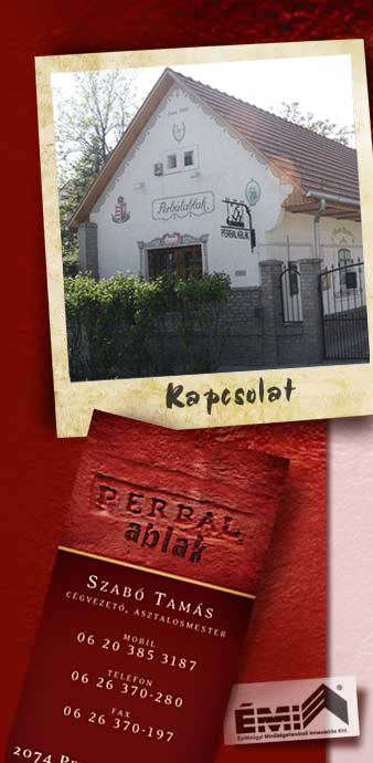 Kép